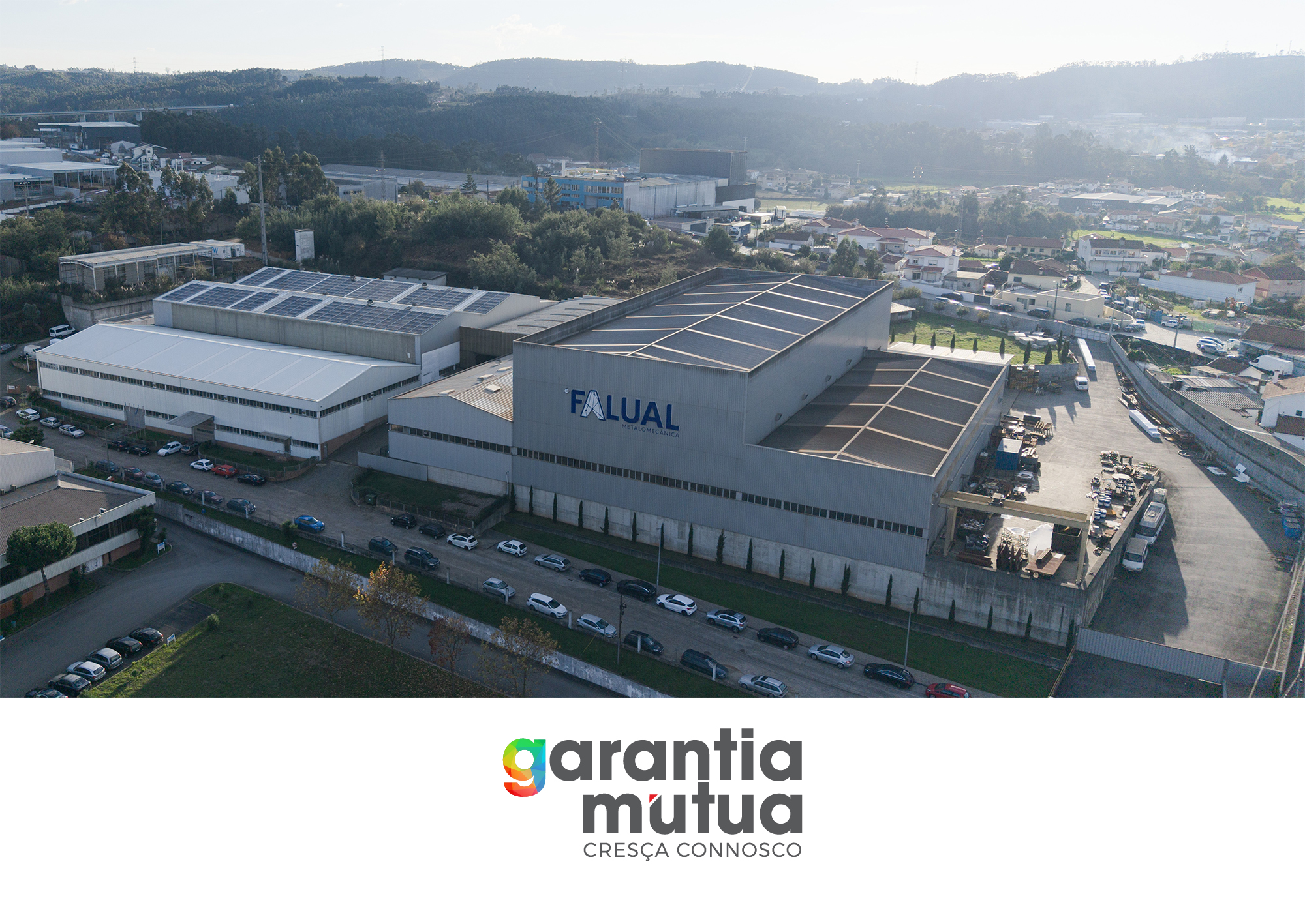 Falual e Garantia Mútua